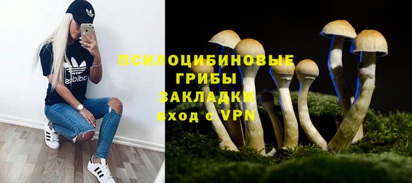 альфа пвп Лиски