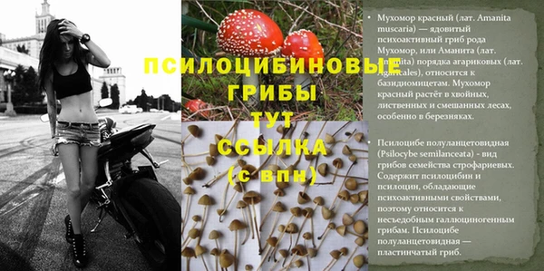 spice Лихославль