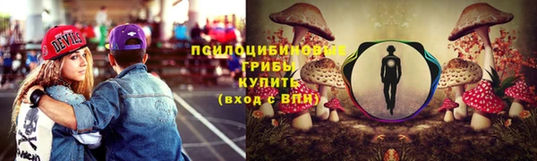 прущие крисы Кодинск
